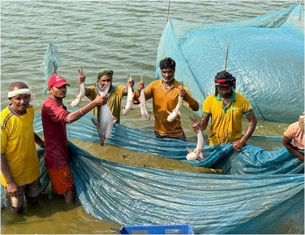 राजनांदगांव : प्रधानमंत्री मत्स्य सम्पदा योजना से किसानों की बदली किस्मत