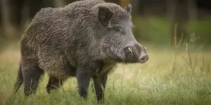 5137958-untitled-30-copy