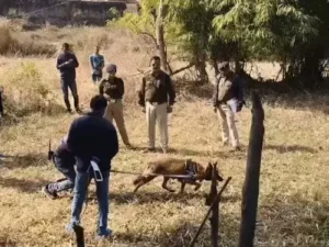 5142263-untitled-7-copy