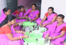 इस बार प्राकृतिक रंगों से रंगीन होगी होली : स्व सहायता समूह की महिलाएं कर रही है प्राकृतिक गुलाल का निर्माण