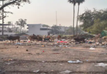 राजनांदगांव : जीई रोड में बस स्टैंड के विपरीत दिशा में आसपास के दुकानदार कचरा फेंकने के कारण शहर की सूरत बिगड़ रही…