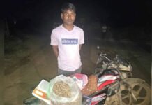 अवैध गांजा परिवहन का भंडाफोड़, बाइक से मादक पदार्थ ले जा रहा आरोपी गिरफ्तार