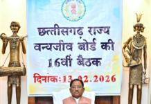 वन्यजीवों के प्राकृतिक आवास की सुरक्षा और सह-अस्तित्व के सिद्धांतों के अनुरूप हो सभी गतिविधियों का संचालन : मुख्यमंत्री साय