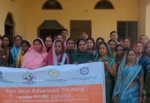 राजनांदगांव : ग्राम सुकुलदैहान के हथकरघा बुनकरों को दिया गया दो दिवसीय एडवांस प्रशिक्षण राजनांदगांव : ग्राम सुकुलदैहान के हथकरघा बुनकरों को दिया गया दो दिवसीय एडवांस प्रशिक्षण