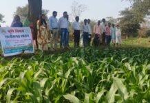 राजनांदगांव : ग्राम घुपसाल में जल संवर्धन फसल परिवर्तन में उत्कृष्ट कार्य के लिए किसानों को किया गया सम्मानित राजनांदगांव : ग्राम घुपसाल में जल संवर्धन फसल परिवर्तन में उत्कृष्ट कार्य के लिए किसानों को किया गया सम्मानित