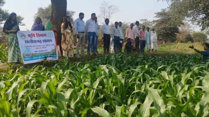 राजनांदगांव : ग्राम घुपसाल में जल संवर्धन फसल परिवर्तन में उत्कृष्ट कार्य के लिए किसानों को किया गया सम्मानित राजनांदगांव : ग्राम घुपसाल में जल संवर्धन फसल परिवर्तन में उत्कृष्ट कार्य के लिए किसानों को किया गया सम्मानित