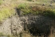 वन्यजीव सुरक्षा में बड़ा कदम: बांधवगढ़ के 4100 कुओं पर बनेगी मुंडेर, प्रशासन-रिजर्व ने मिलाया हाथ