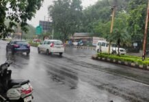 फरवरी में तीसरी बार बदला मौसम: कई जिलों में बारिश से फसलें हुईं नुकसान में, मंत्री करेंगे सर्वे