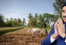 किसानों को बड़ा तोहफा: जमीन की रजिस्ट्री फ्री, सरकार भरेगी शुल्क और स्टांप ड्यूटी, CM मोहन की घोषणा