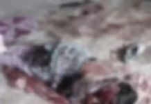 CG : कोरबा में जघन्य घरेलू हिंसा, पत्नी मां और बहन को शख्स ने किया लहूलुहान …