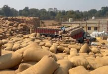 धान उठाव की रफ्तार धीमी पड़ी भारी, शासन ने मार्कफेड DMO किशोर चंद्रा को हटाया