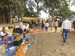 206_1769949596697f499cea00d_1febkawardha12