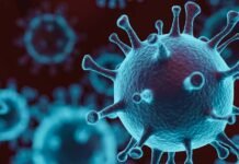 मरीजों में कोरोना जैसी शिकायतें, एलर्जी और तेज बुखार बढ़ा रहे डर, स्वास्थ्य विशेषज्ञ अलर्ट