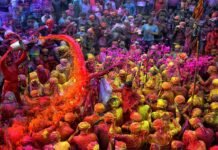 होलिका दहन, धूडेली और होली उत्सव के लिए निर्णय, ज्योतिष मठ संस्थान में संगोष्ठी का आयोजन