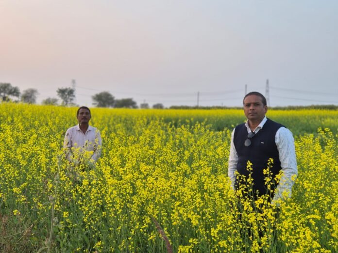 राजनांदगांव : जिले में रबी वर्ष 2025-26 अंतर्गत बीज उत्पादन कार्यक्रम के तहत निर्धारित लक्ष्य से अधिक की पूर्ति