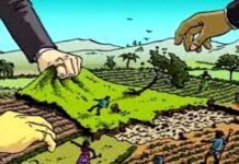 आदिवासियों की भूमि पर बड़ा फैसला, 9 IAS ने 1,500 एकड़ की बिक्री को हरी झंडी दी