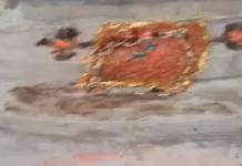 CG : पक्षी की बलि देकर स्कूल में तांत्रिक क्रिया, स्टूडेंट्स और पैरेंट्स में दहशत …