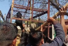 CG : बीमारी नहीं था मृत हालत में मिला भालू, पीएम रिपोर्ट में तीर मिलने का दावा …