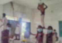 CG : छात्रों से स्कूल की पुताई मामले की जांच के लिए समिति गठित …