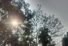 CG :छत्तीसगढ़ के मौसम में विशेष परिवर्तन के आसार नहीं …