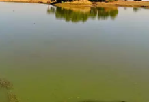 CG : तालाब में डूबा ग्राम पटेल, मौत …