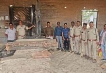 सक्ती वन परिक्षेत्र एवं उड़नदस्ता की संयुक्त कार्रवाई