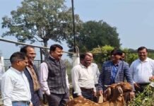 खेती के साथ पशुपालन से बढ़ी किसानों की आय