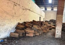 चांपा के गुप्त गोदाम पर छापा, वन विभाग की बड़ी कार्रवाई