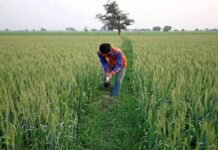 106830 किसानों को आज होगा 407 करोड़ का भुगतान