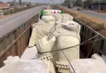 कौशल्या धाम में पहुंची प्रभु श्रीराम की नई प्रतिमा