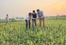 हर खेत पर जाकर फसल नुकसान का शीघ्र सर्वे कराने के दिए निर्देश