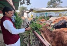 उप मुख्यमंत्री शुक्ल ने लक्ष्मणबाग गौशाला का किया भ्रमण