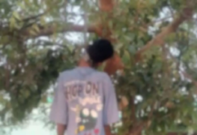 CG : स्कूल के पास पेड़ में लटकी मिली लाश …