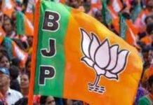 भाजपा की राष्ट्रीय टीम में दिखेंगे मध्य प्रदेश के कई चेहरे