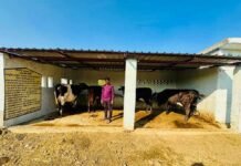 महिला शक्ति और वनोपज का सफल संगम, हरिबोल स्व-सहायता समूह ने रचा आर्थिक सशक्तिकरण का उदाहरण