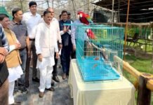 उप मुख्यमंत्री शुक्ल ने मुकुंदपुर जू का किया निरीक्षण विदेशी पक्षियों से एवियारी हुआ गुलजार