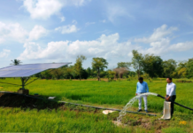 मोहला : सौर सुजला योजना ने बदली किसानों की तकदीर, अकार्यशील पंपों के सुधार से फिर लौटी हरियाली मोहला : सौर सुजला योजना ने बदली किसानों की तकदीर, अकार्यशील पंपों के सुधार से फिर लौटी हरियाली