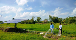 मोहला : सौर सुजला योजना ने बदली किसानों की तकदीर, अकार्यशील पंपों के सुधार से फिर लौटी हरियाली