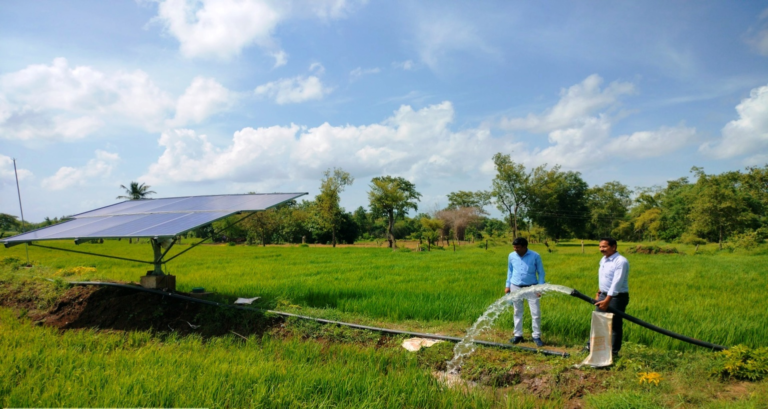 मोहला : सौर सुजला योजना ने बदली किसानों की तकदीर, अकार्यशील पंपों के सुधार से फिर लौटी हरियाली