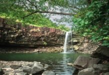 विंध्य अंचल का खजाना: खिवनी अभयारण्य उभरता इको-टूरिज्म हॉटस्पॉट