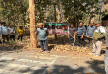 कोंडागांव एवं फरसगांव में एक दिवसीय अग्नि सुरक्षा कार्यशाला आयोजित