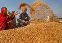 20 हजार से अधिक किसानों ने समर्थन मूल्य पर गेहूँ उपार्जन के लिये कराया पंजीयन : मंत्री राजपूत