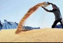 समर्थन मूल्य पर गेहूं खरीद की तैयारी तेज, 1.81 लाख किसानों ने कराया रजिस्ट्रेशन