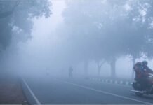 एमपी के 8 शहरों में पारा 10 डिग्री से नीचे, राजगढ़ में 7 डिग्री सेल्सियस तापमान, 30 जिलों में कोहरा