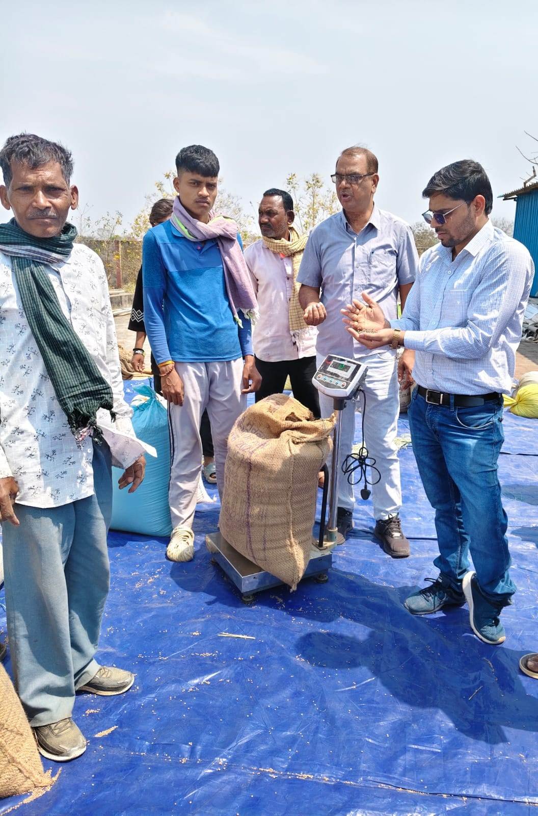  राजनांदगांव : जिले में एक सप्ताह में 347 क्विंटल दलहन-तिलहन उपार्जन