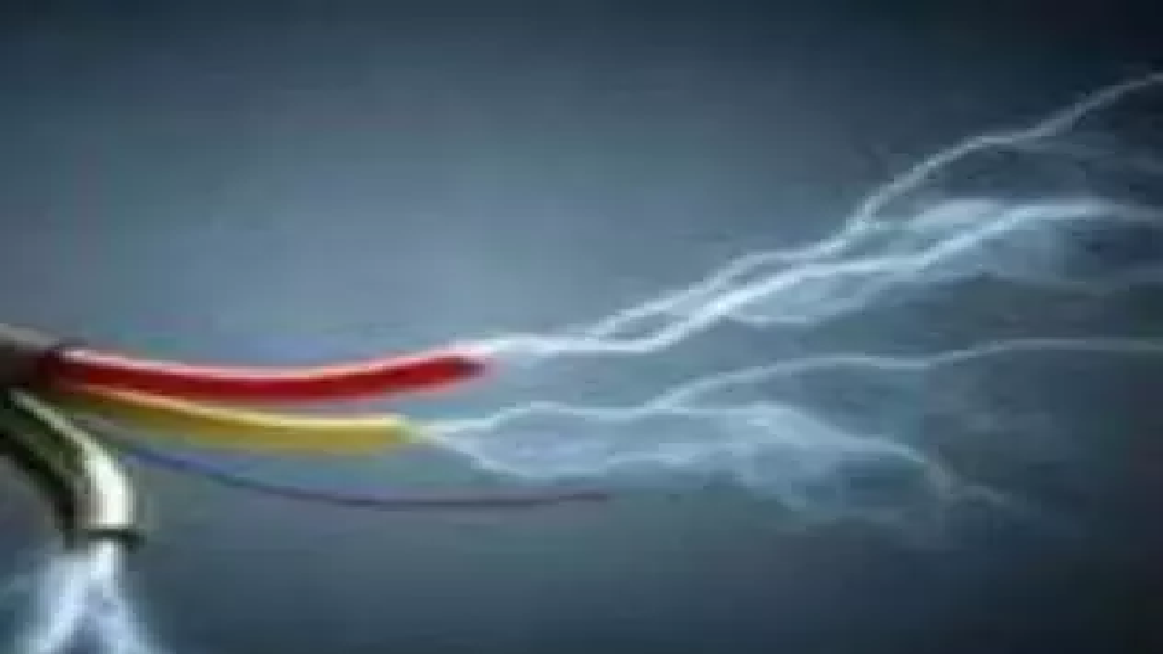 CG : करंट से 4 कुत्तों की मौत …