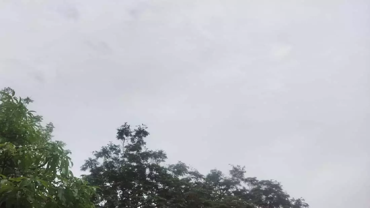 CG : रायपुर में मौसम परिवर्तन, छाई बदली, हल्की बारिश के आसार …