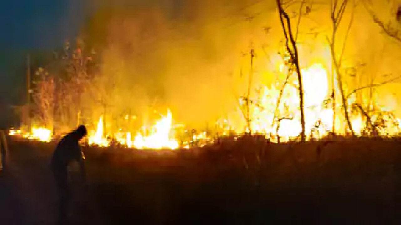 राजनांदगांव : खेत में लगी भीषण आग फैलते हुए 2 किमी. के दायरे में पहुंची…