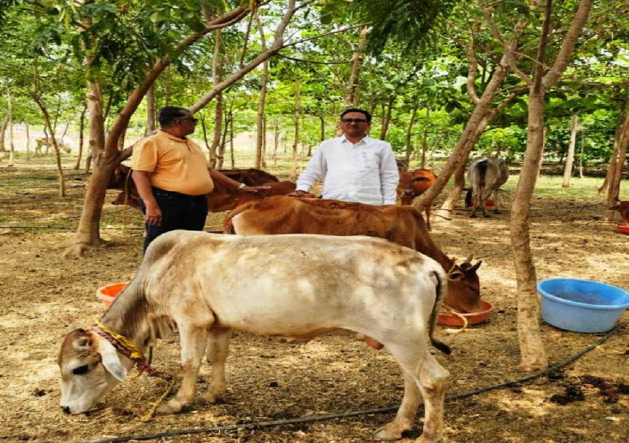 CG : विश्व पृथ्वी दिवस : मनोहर गौशाला ने तालाब-जंगल बनाकर दी धरती संरक्षण की मिसाल…