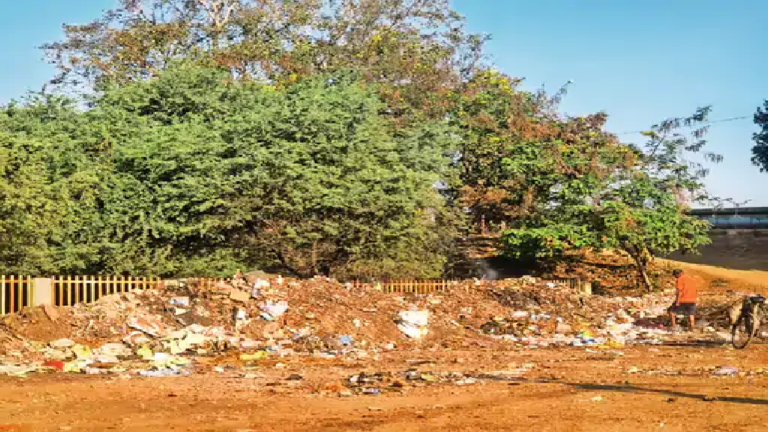 राजनांदगांव : हॉस्पिटल रोड में सड़क किनारे डंप हो रहा कचरा, फैली गंदगी, लोग परेशान…